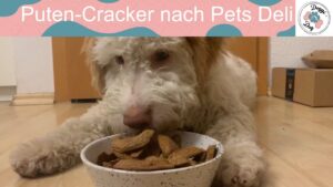 Puten-Cracker für Hunde selber machen - gesunde Hundeleckerli