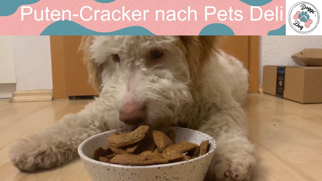 Puten-Cracker für Hunde selber machen - gesunde Hundeleckerli