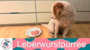 Leberwurstpürree für Hunde