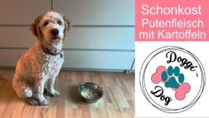 Schonkost für Hunde Putenfleisch