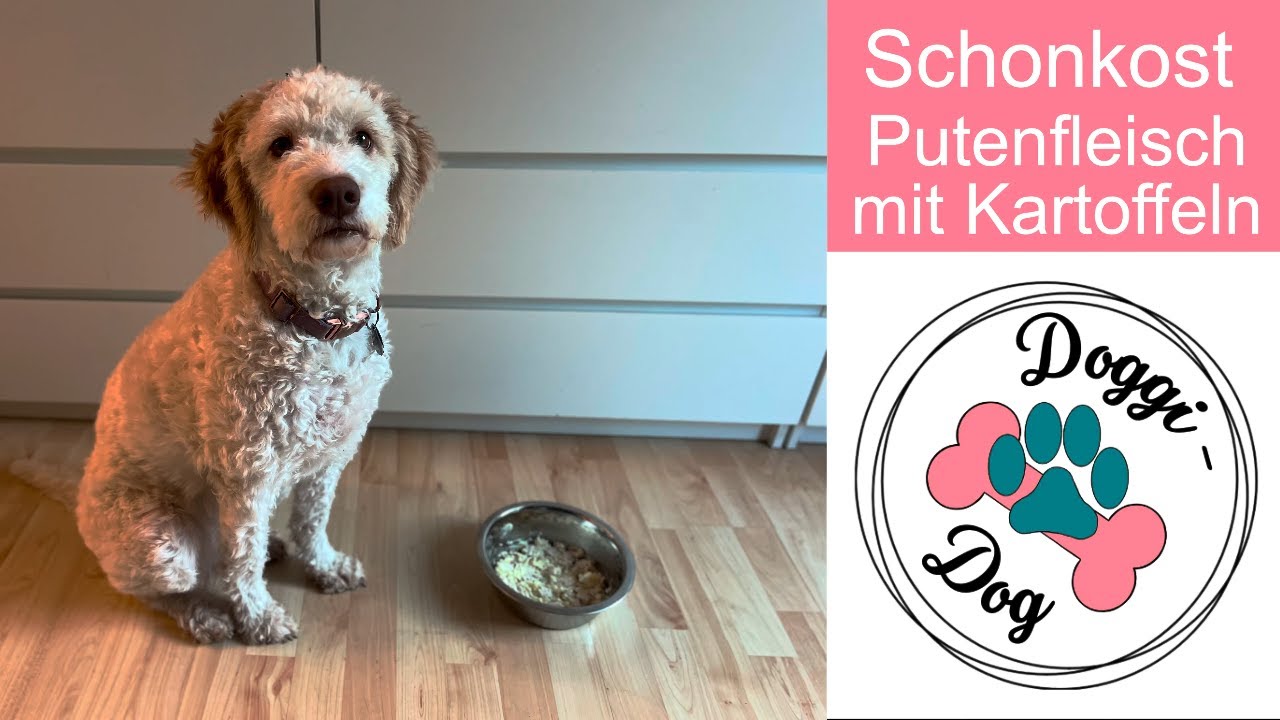 Schonkost für Hunde Putenfleisch