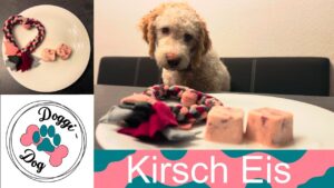 Kirsch Eis für Hunde