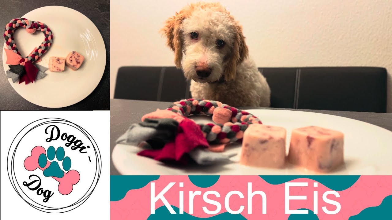 Kirsch Eis für Hunde