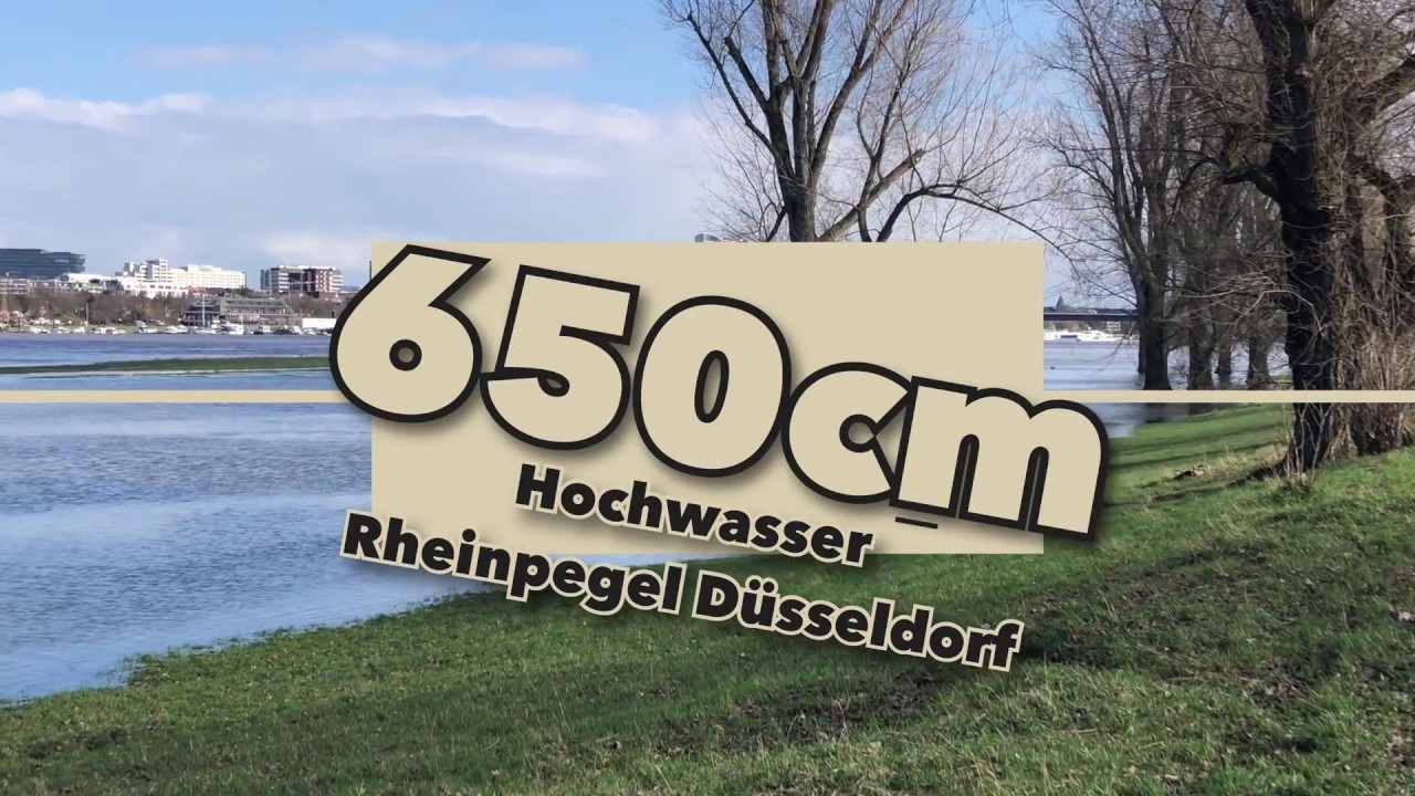 rhein hochwasser duesseldorf