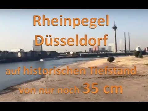 rhein niedrigwasser duesseldorf