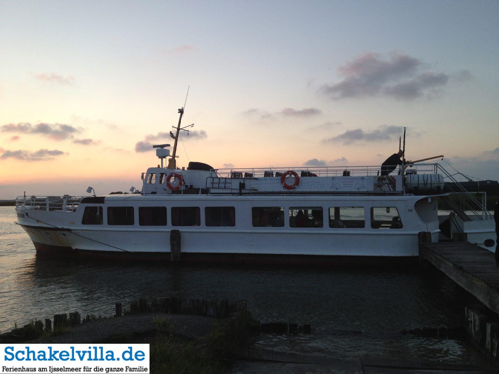 Die Seestern auf dem Wattenmeer bei Moddergat