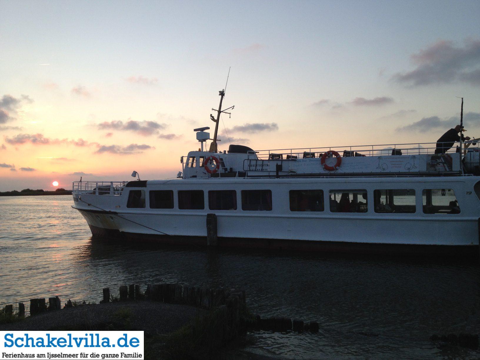 Die Seestern im Sonnenuntergang bei der Robbenfahrt Moddergat