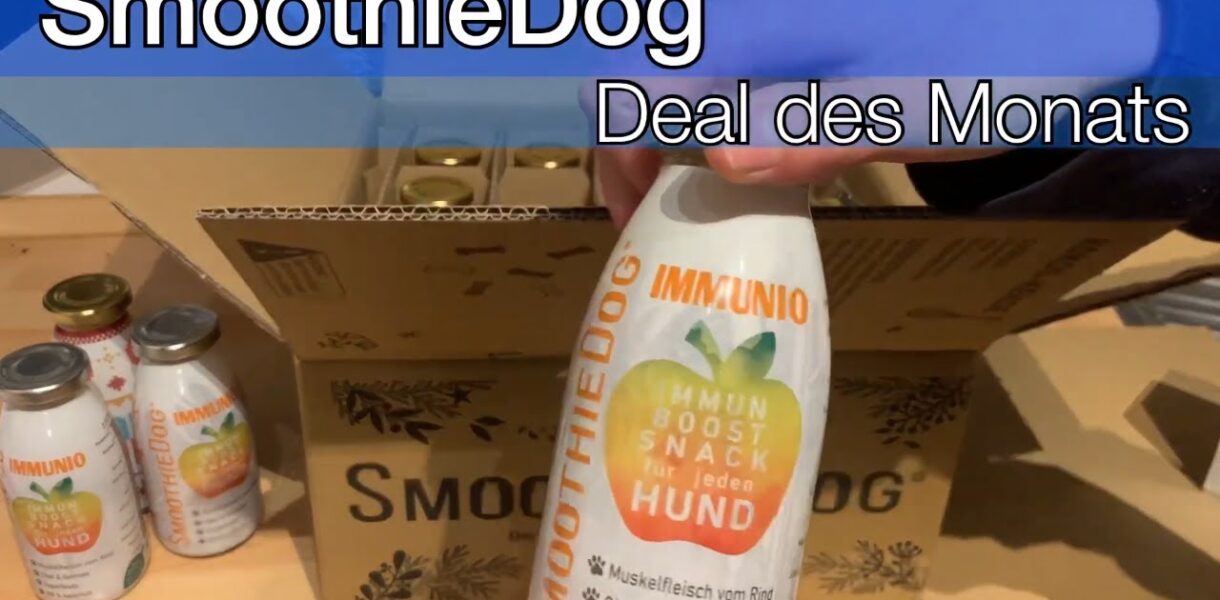 SmoothieDog Test – Hundesmoothies für Hunde
