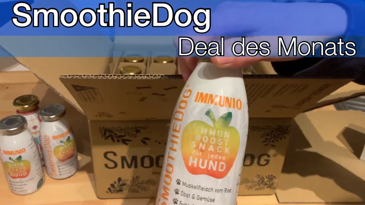 SmoothieDog Test – Hundesmoothies für glückliche Hunde