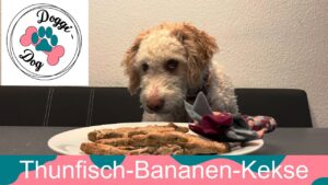 Thunfisch-Bananen-Kekse für Hunde