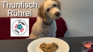 thunfisch ruehrei