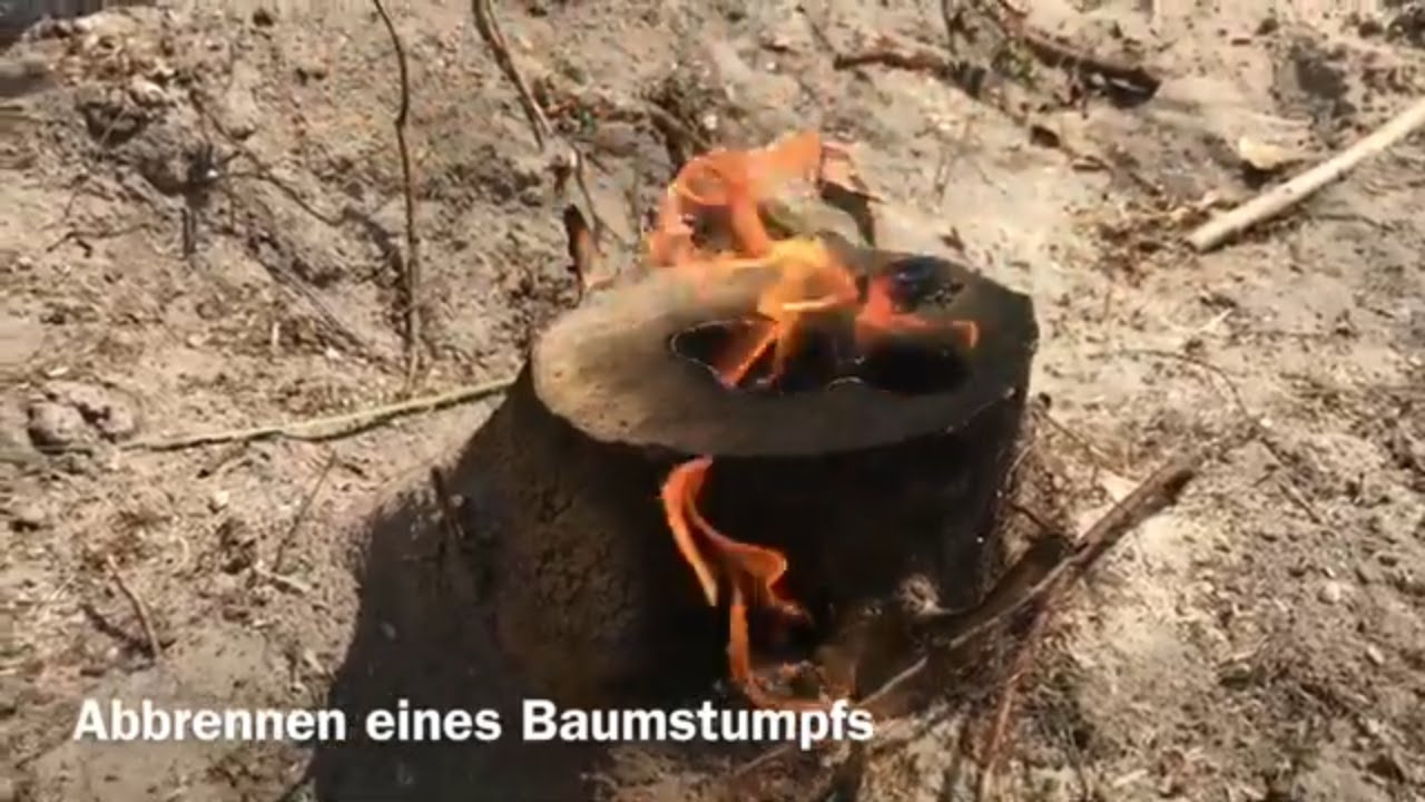 Baumstumpf abbrennen – Test
