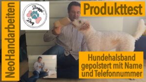 WolfsTau Hundehalsband mit Leine