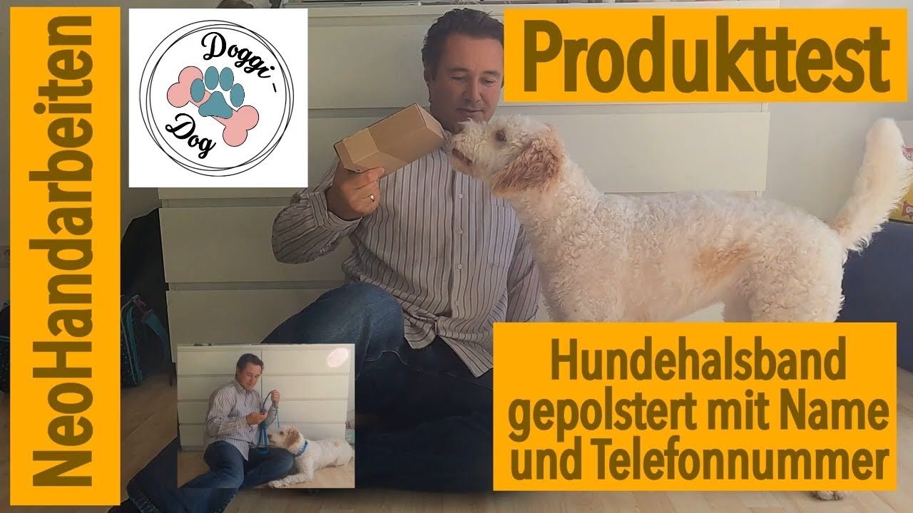 WolfsTau Hundehalsband mit Leine