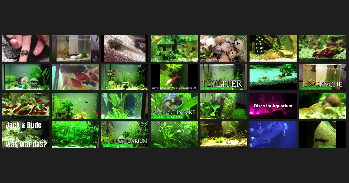 aquarium collage