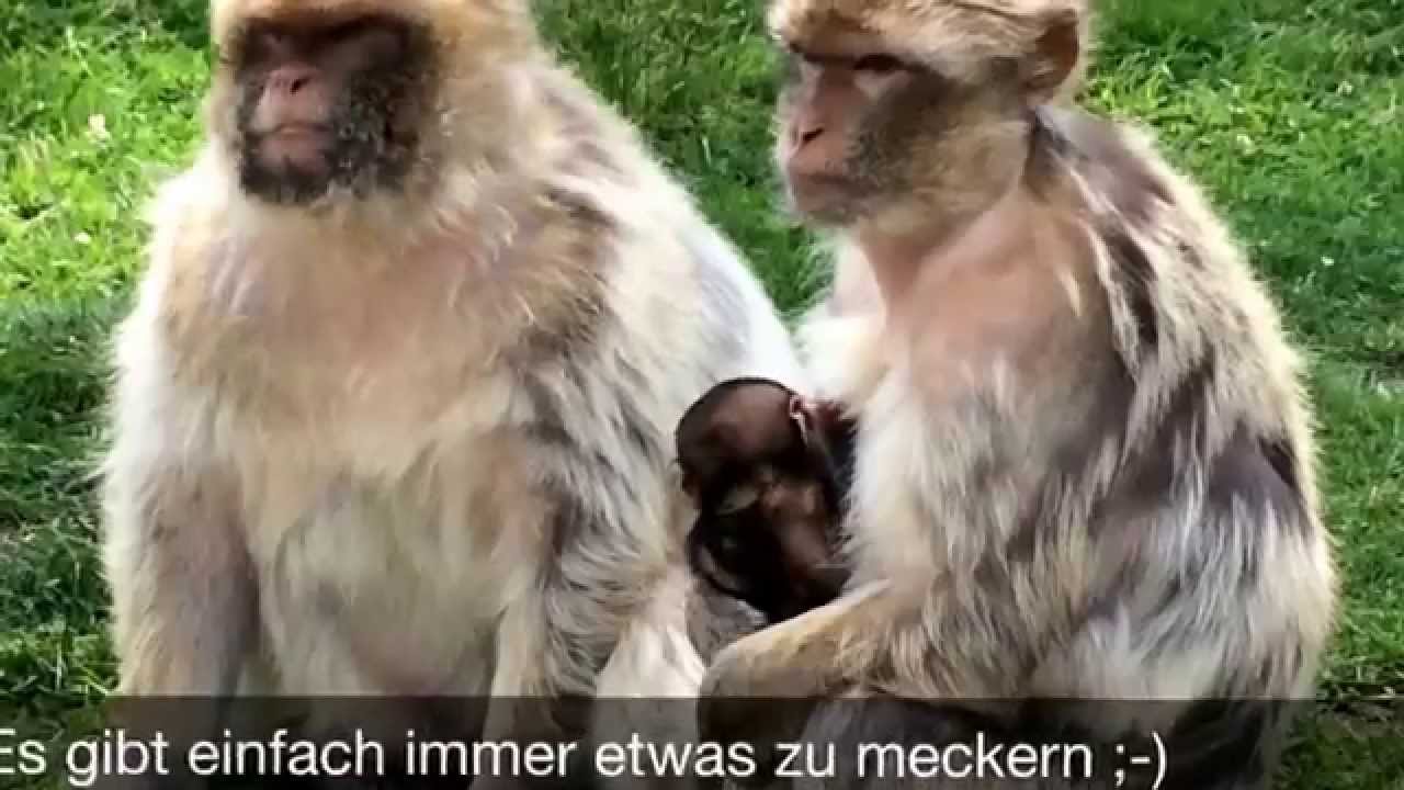 Familien-Clips – Spaß-Momente aus dem Familienalltag