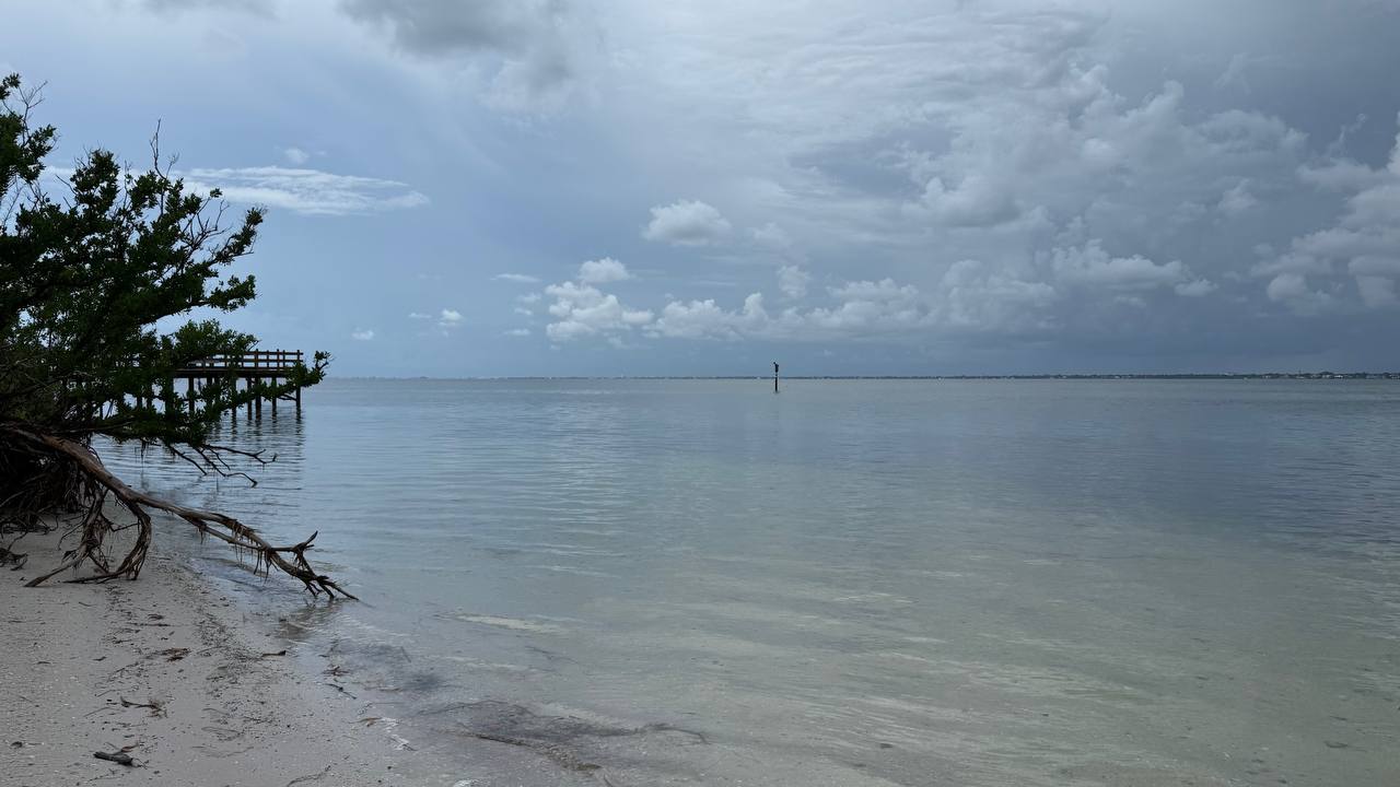 Quick Point Nature Preserve bei Sarasota am zehnten Tag in Florida (12)