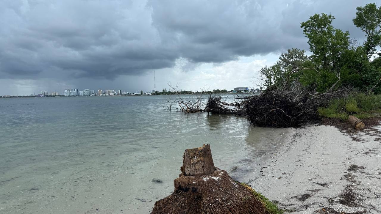 Quick Point Nature Preserve bei Sarasota am zehnten Tag in Florida (14)