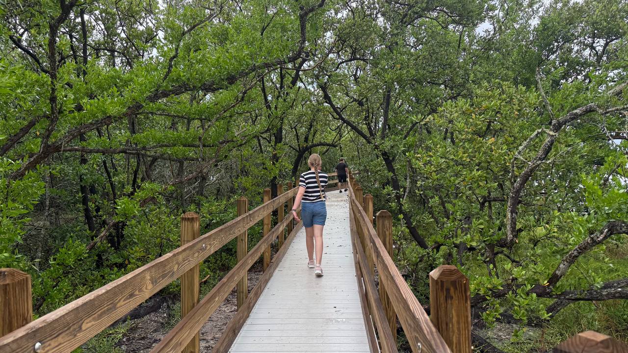 Quick Point Nature Preserve bei Sarasota am zehnten Tag in Florida (16)
