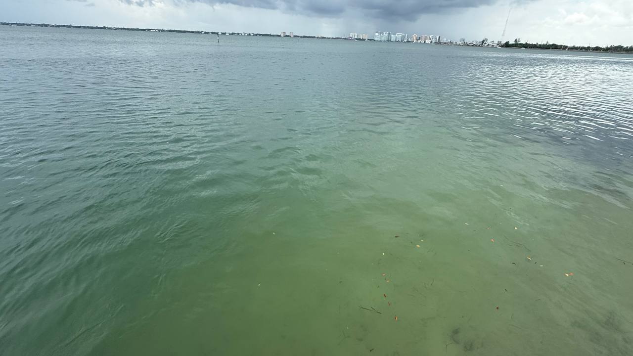 Quick Point Nature Preserve bei Sarasota am zehnten Tag in Florida (19)