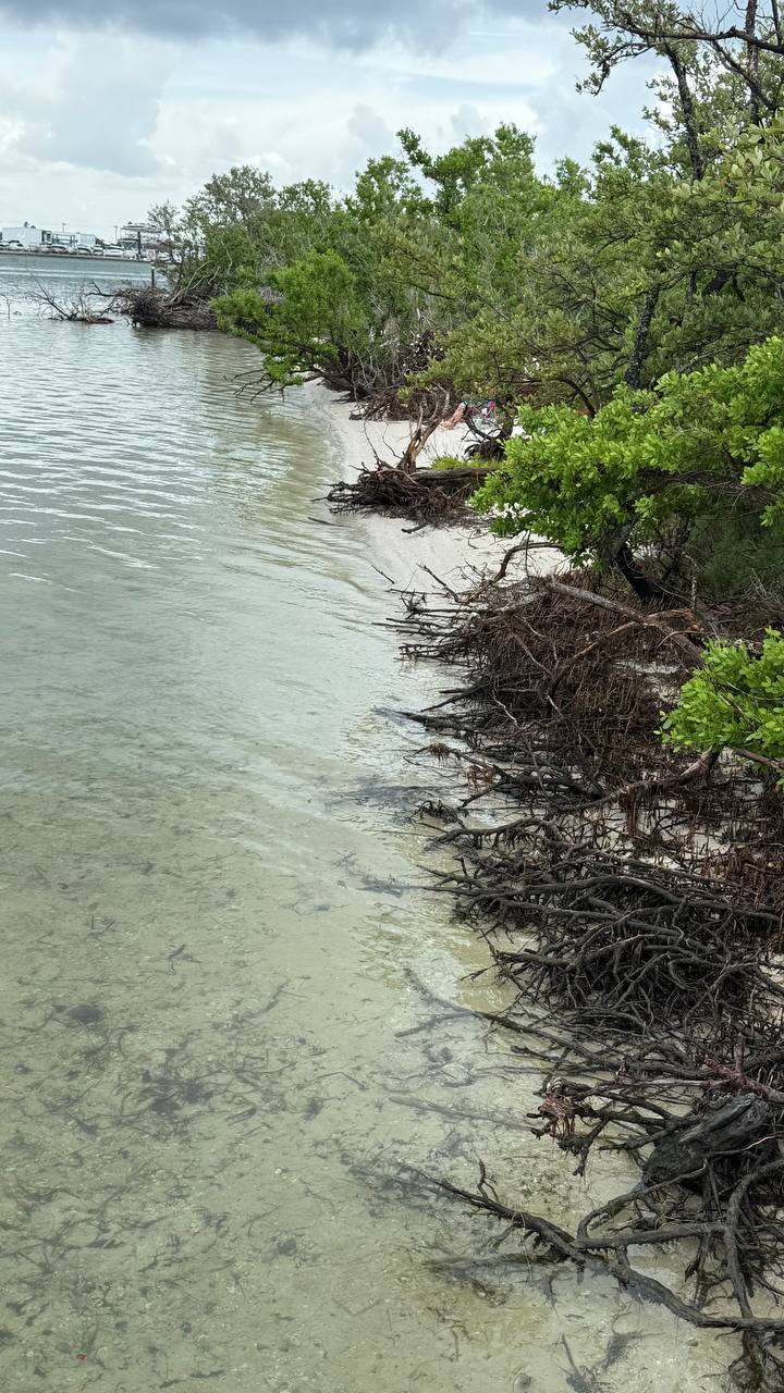 Quick Point Nature Preserve bei Sarasota am zehnten Tag in Florida (20)