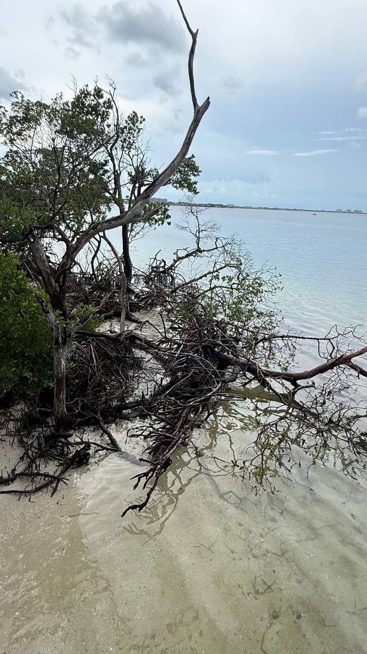 Quick Point Nature Preserve bei Sarasota am zehnten Tag in Florida (21)
