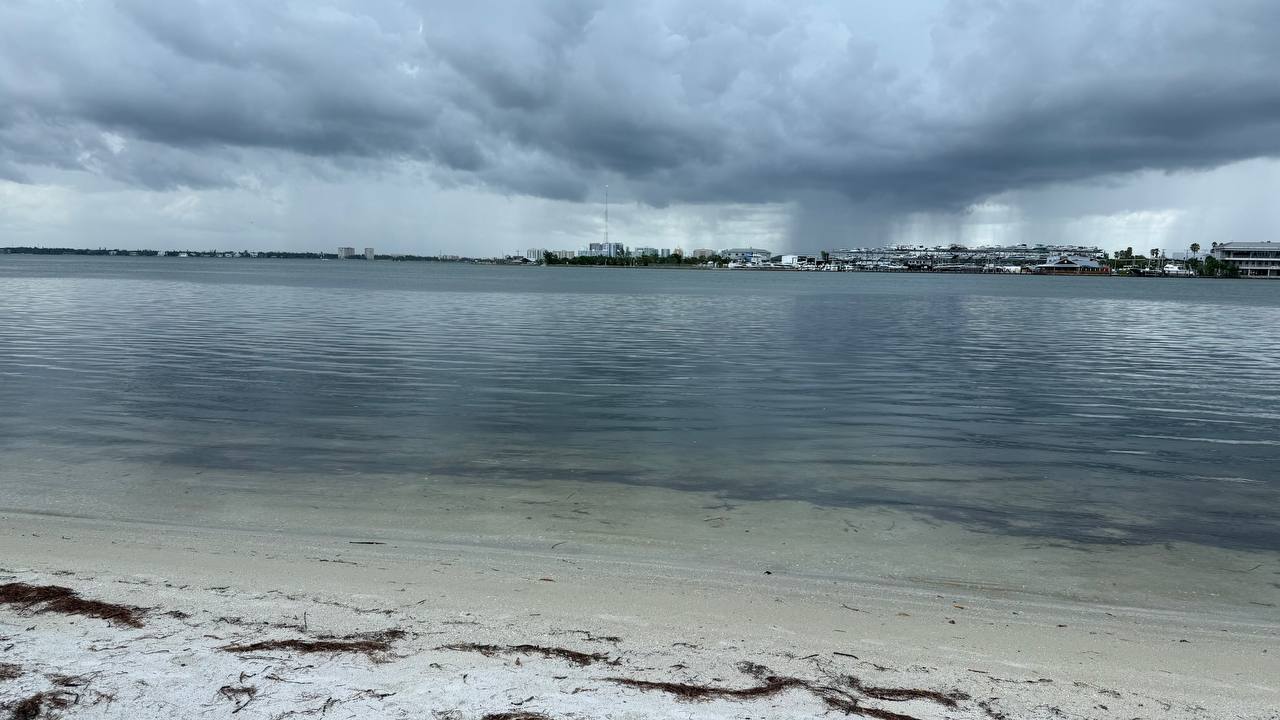Quick Point Nature Preserve bei Sarasota am zehnten Tag in Florida (3)