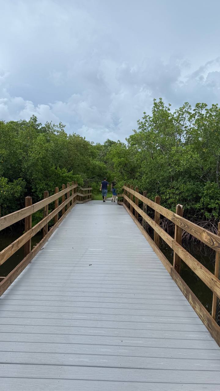 Quick Point Nature Preserve bei Sarasota am zehnten Tag in Florida (4)