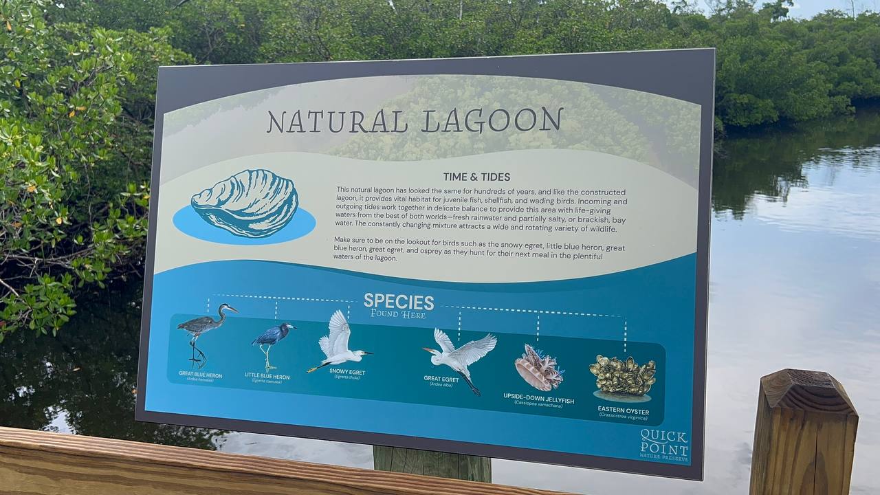 Quick Point Nature Preserve bei Sarasota am zehnten Tag in Florida (6)