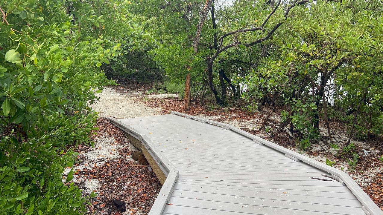 Quick Point Nature Preserve bei Sarasota am zehnten Tag in Florida (7)