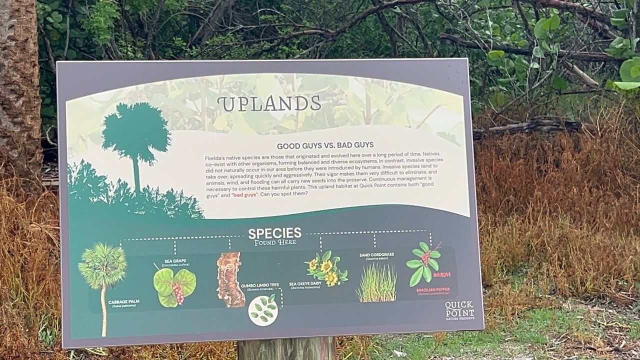 Quick Point Nature Preserve bei Sarasota am zehnten Tag in Florida (9)