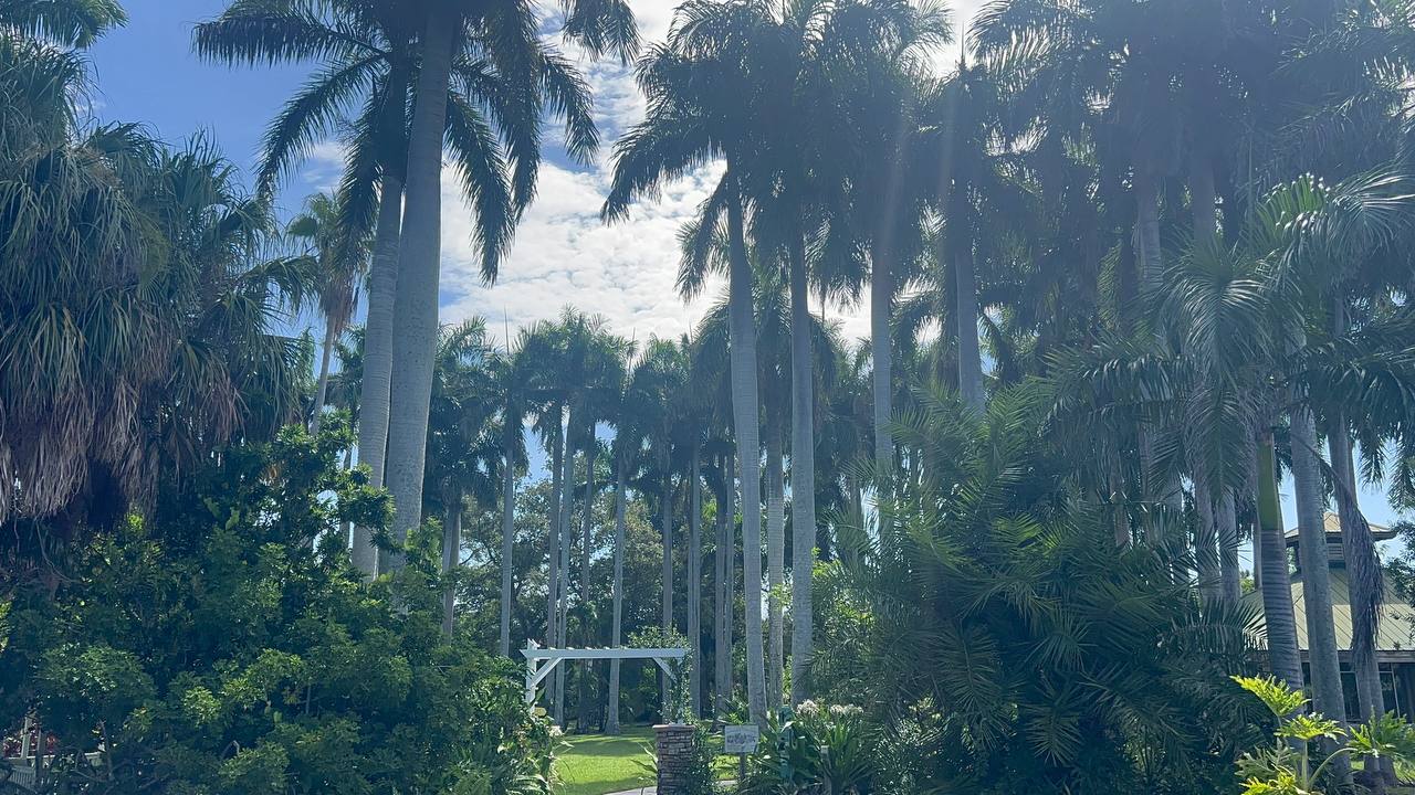 Palma Sola Botanical Park am 13. Tag der Florida-Reise (1)