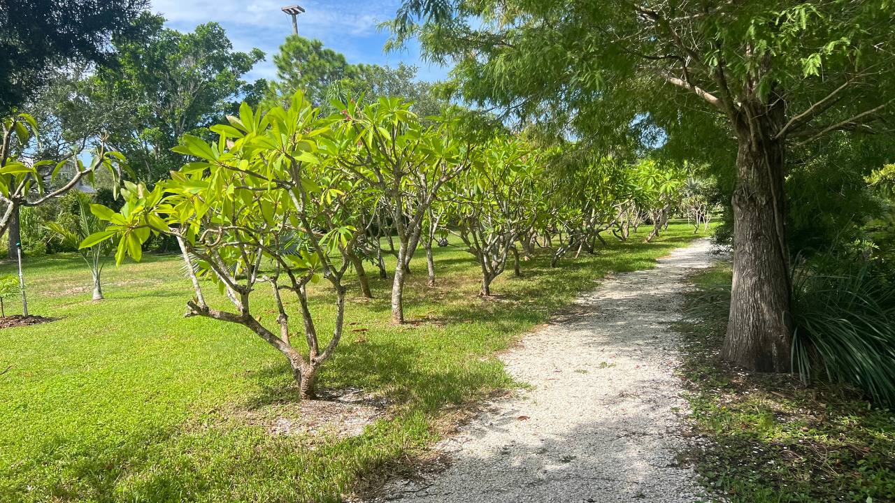 Palma Sola Botanical Park am 13. Tag der Florida-Reise (19)