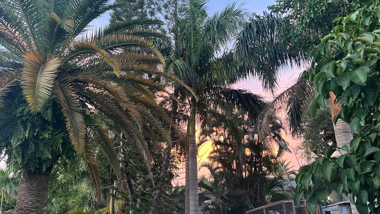 Sonnenuntergang am Pool am 13. Tag der Florida-Reise (2)
