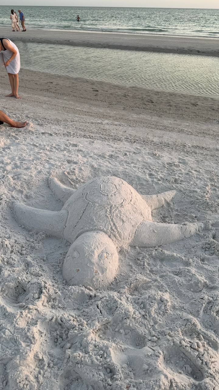 Selbst gebaute Sandschildkröte am Strand von Anna Maria Island