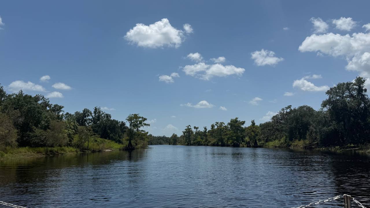 Flusslandschaft der Everglades bei der Luftboot-Tour