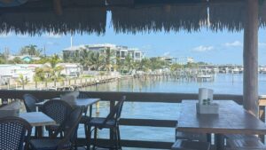 Pelikan am Bradenton Beach Pier