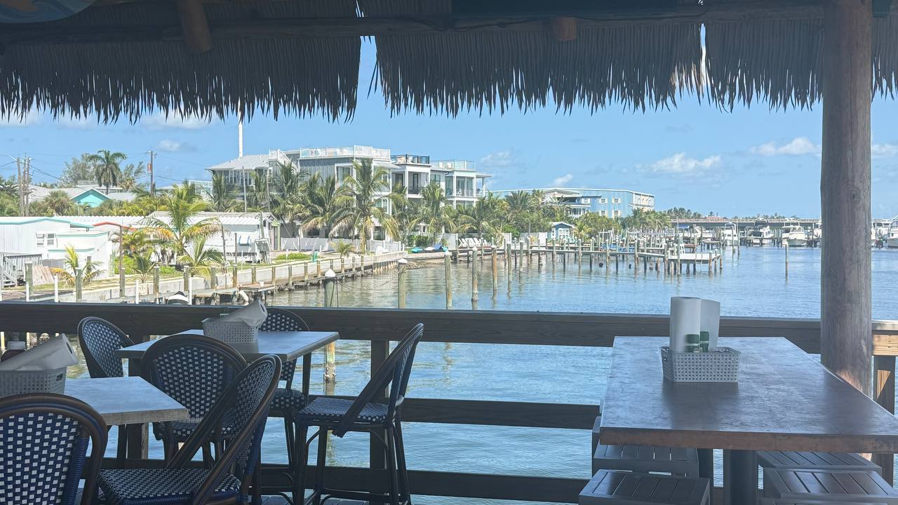 Pelikan am Bradenton Beach Pier