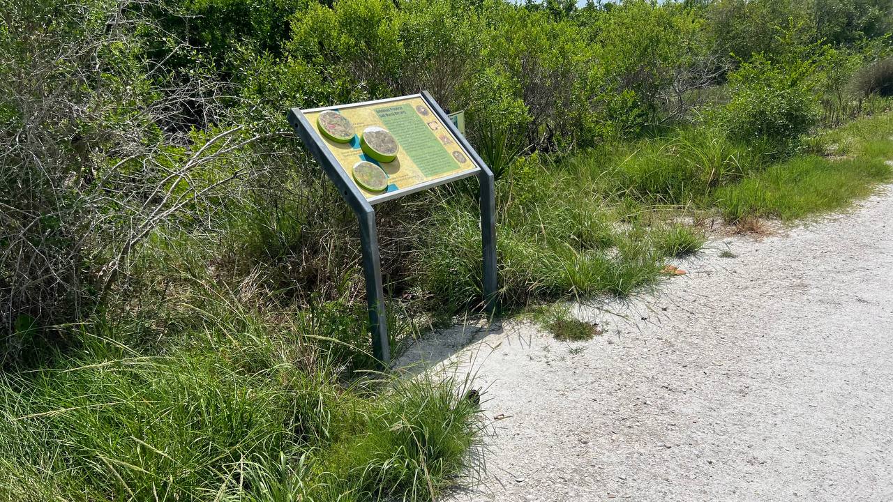 Info-Tafel am Wanderweg im Robinson Preserve Park am neunten Tag in Florida