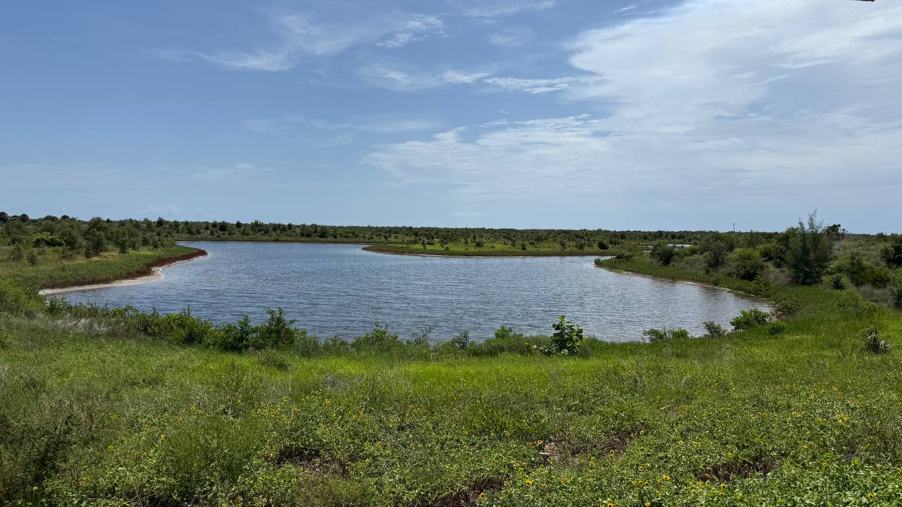 Ruhiger See mit grünen Ufern im Robinson Preserve Park am neunten Tag in Florida