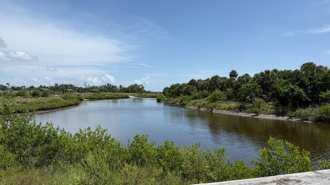 Ruhiger Wasserweg zwischen dichtem Grün, Blick von einer hölzernen Brüstung im Robinson Preserve Park