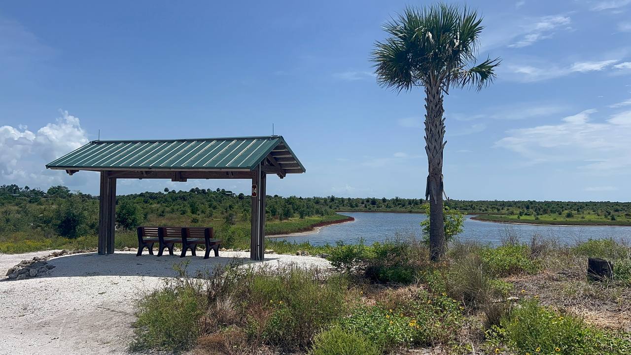 Überdachter Pavillon mit Bänken und Palme am Gewässer im Robinson Preserve Park