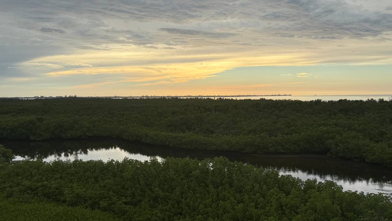 Robinson Preserve Park am 9. Tag in Florida (8)