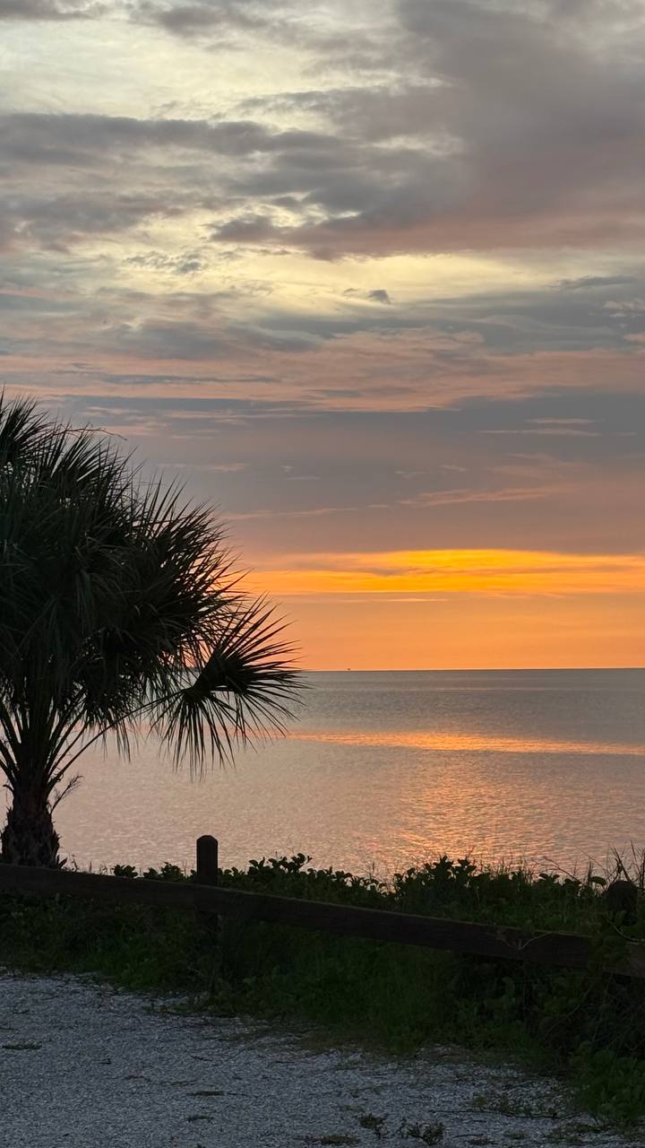 Florida Tag 2 – pool_abend (Bild 4)