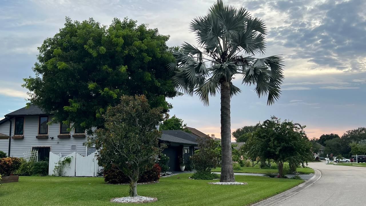 Florida Tag 2 – spaziergang (Bild 1)