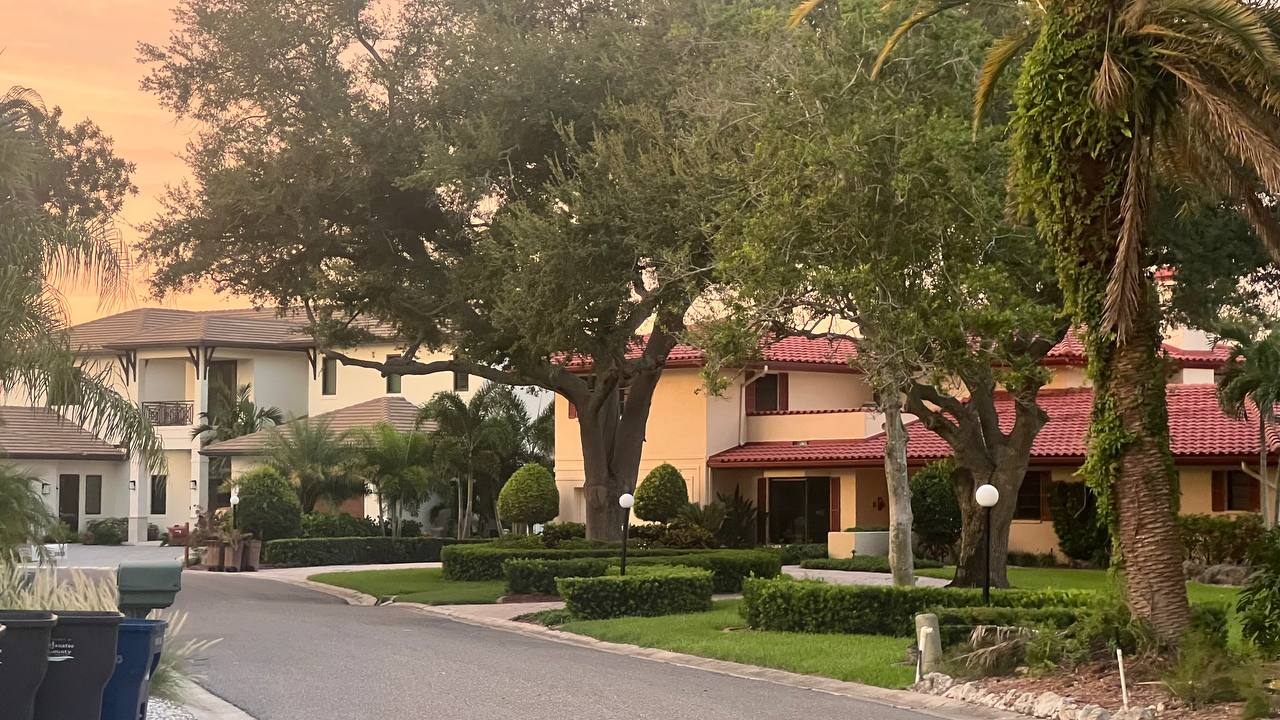 Florida Tag 2 – spaziergang (Bild 10)