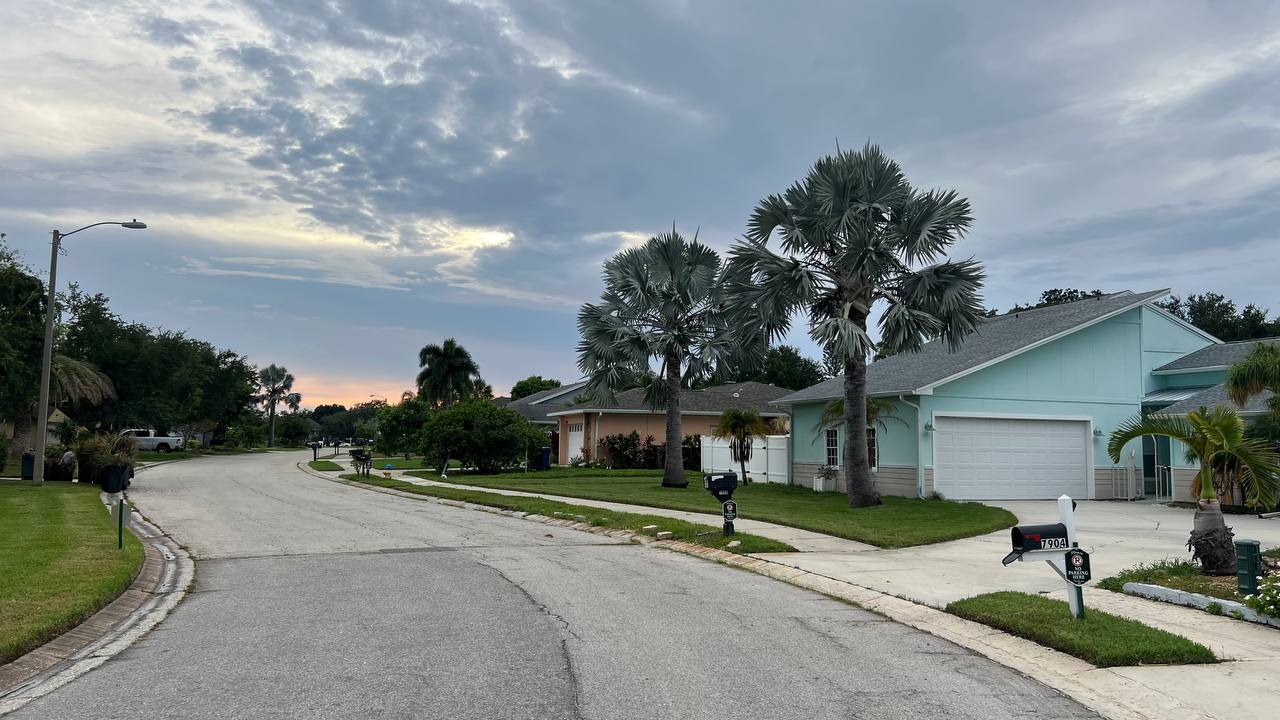 Florida Tag 2 – spaziergang (Bild 3)