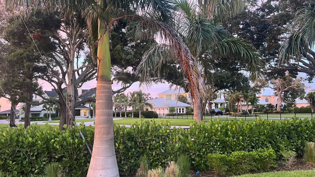 Florida Tag 2 – spaziergang (Bild 5)