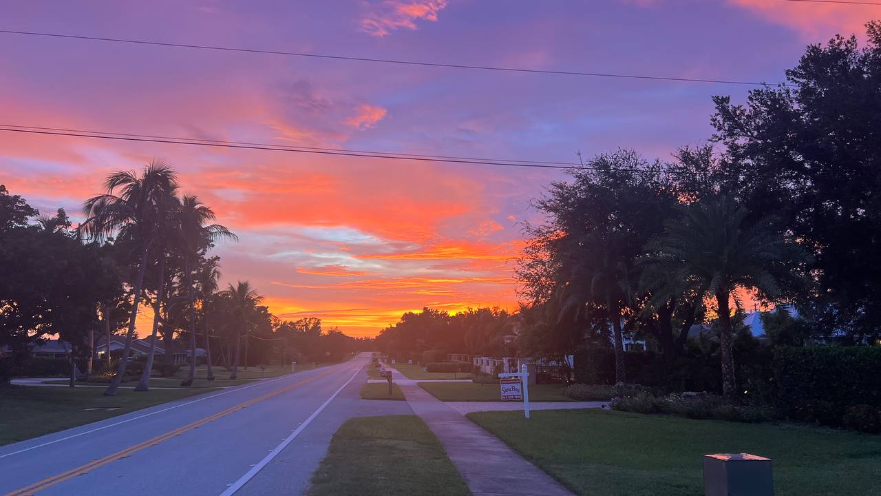 Florida Tag 2 – spaziergang (Bild 6)