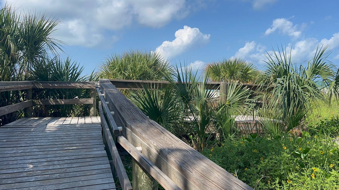 Strand in Florida – erster voller Tag (Bild 1)